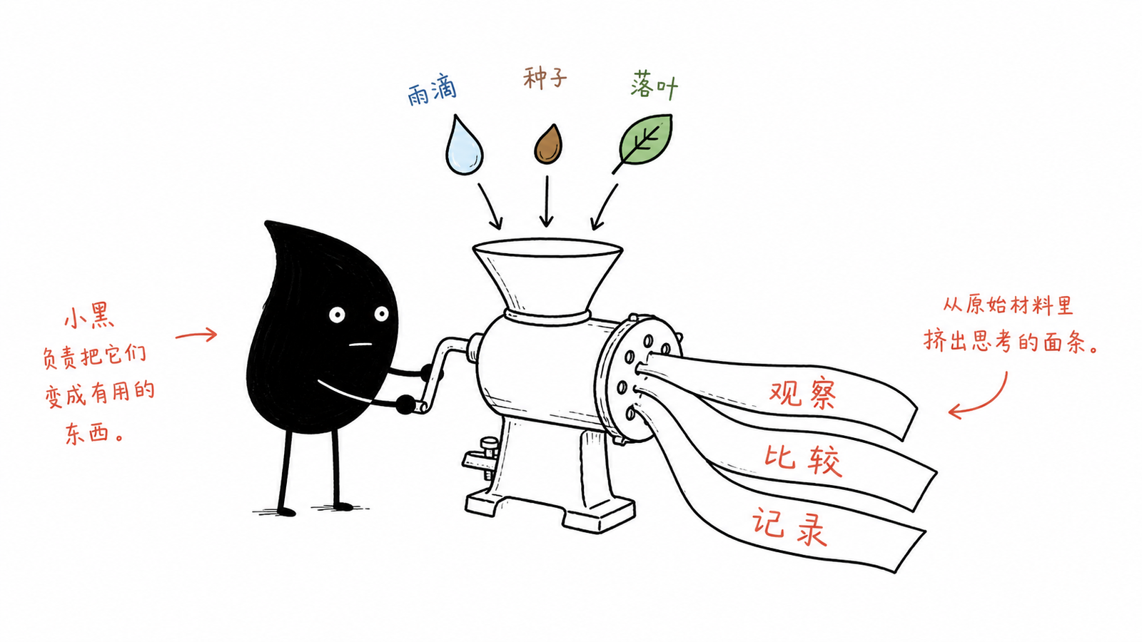 小黑把自然知识转成观察比较和记录动作