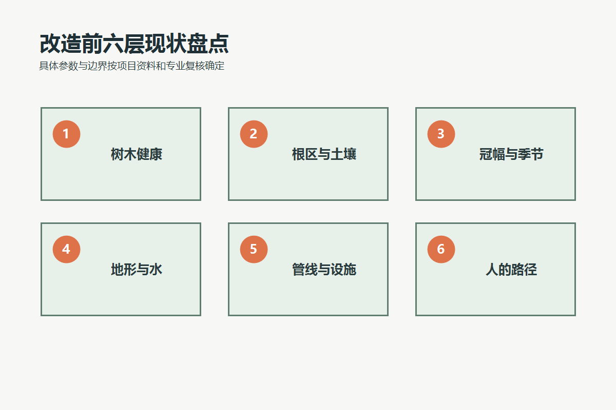 口袋公园儿童游乐改造前的树木、根区、冠幅、地形水、管线和路径六层盘点